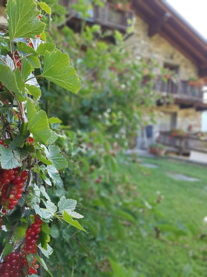 Agriturismo La Clochette Torgnon Exterior foto